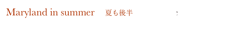 Maryland in summer　夏も後半               Home