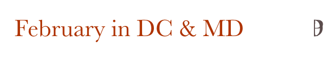 February in DC & MD       HP TOP