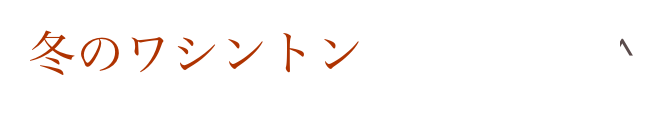 冬のワシントン                  Home