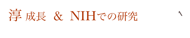 淳 成長  &  NIHでの研究           Home