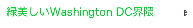 緑美しいWashington DC界隈    Home