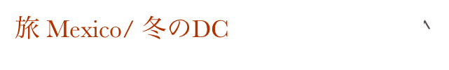 旅 Mexico/ 冬のDC                           Home